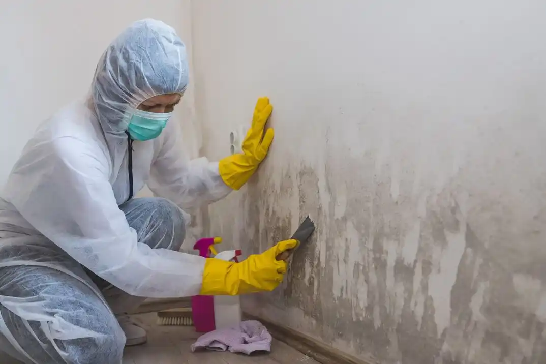 water damage restoration service Greenfield Gardens